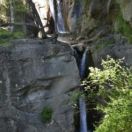 Berde - Bruy De